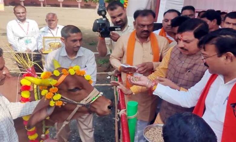 मुख्यमंत्री डॉ. यादव ने महेश्वर की गौ-शाला में किया गौ-पूजन 1 KSHITITECH 12A 1028 KSHITITECH