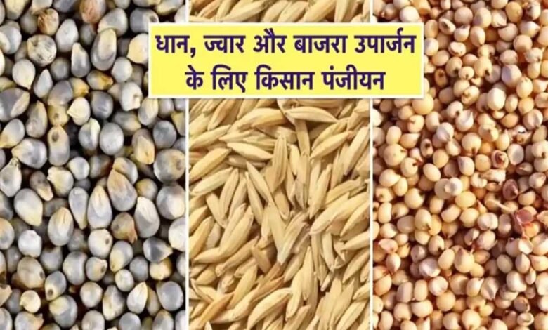 धान, ज्वार और बाजरा उपार्जन के लिए 6 जिलों में किसान पंजीयन 21 अक्टूबर तक 1 Console Corptech Pradakshina Consulting Pvt Ltd 19A 55 Console Corptech Pradakshina Consulting Pvt Ltd