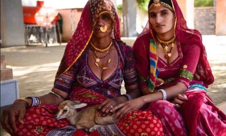 क्या आप जानते है बिश्नोई समाज में अंतिम संस्कार कैसे किया जाता है? 1 KSHITITECH 19A 95 KSHITITECH