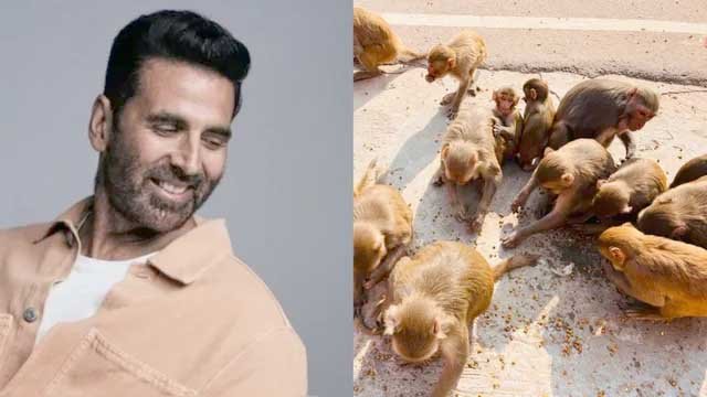 अयोध्या के बंदरों के लिए अक्षय कुमार ने दान किए 1 करोड़ रुपये 1 KSHITITECH akshay kuam KSHITITECH