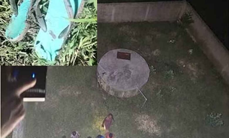 छत्तीसगढ़-कोरबा में स्कूल ड्रेस में खून से लथपथ मिली 12वीं की छात्रा 1 KSHITITECH chhattisgarh 02 2 4 KSHITITECH