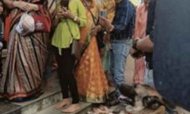 छत्तीसगढ़-कोरबा में ट्रैकर डॉग बाघा पहुंचा माता के दरबार 1 KSHITITECH chhattisgarh 07 2 10 KSHITITECH