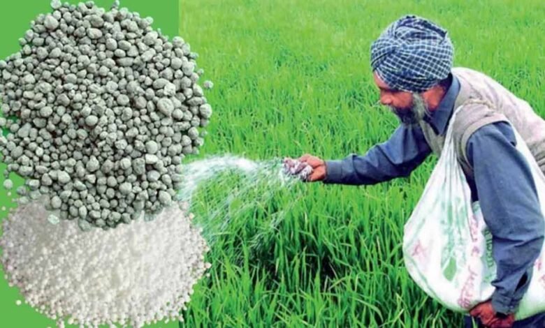 विपणन संघ के गोदामों से खाद टोकन पर ही दी जाएगी, धान का उपार्जन के लिए 7.85 लाख किसानों का पंजीयन 1 KSHITITECH dac1 KSHITITECH