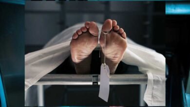 dead 2 3 Console Corptech Pradakshina Consulting Pvt Ltd