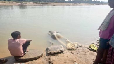 fishing1 Console Corptech Pradakshina Consulting Pvt Ltd