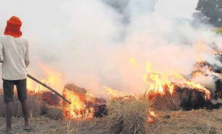 पराली जलाने पर लगी पाबंदी के बाद भी नहीं कोई परवाह, पुलिस ने लिया ये एक्शन, 7 मामले दर्ज 1 KSHITITECH parali1 1 KSHITITECH