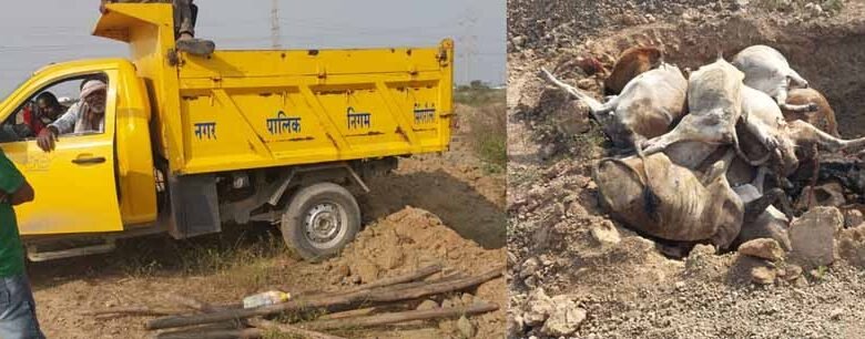 सिंगरौली में कचरा निस्तारण का कार्य कर रही सिटाडेल कंपनी के द्वारा किए जा रहे भ्रष्टाचार 1 Console Corptech Pradakshina Consulting Pvt Ltd 1 100 Console Corptech Pradakshina Consulting Pvt Ltd