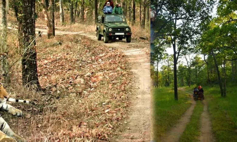 महीने के अंत में मप्र टाइगर रिजर्व में पहुंचेंगे सबसे ज्यादा पर्यटक ... सभी Tiger Reserve में हो रही है तेजी से बुकिंग 1 KSHITITECH 11A 95 KSHITITECH