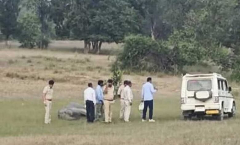 बांधवगढ़ में 10 हाथियों की मौत के बाद एनजीटी सख्त, लिया संज्ञान 1 KSHITITECH 15A 96 KSHITITECH