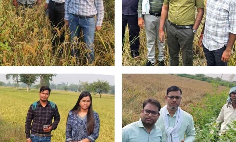 छत्तीसगढ़-बेमेतरा के एसडीएम ने पटवारी को फसल गिरदावरी में लापरवाही पर किया निलंबित 1 KSHITITECH Chhattisgarh 04 3 13 KSHITITECH