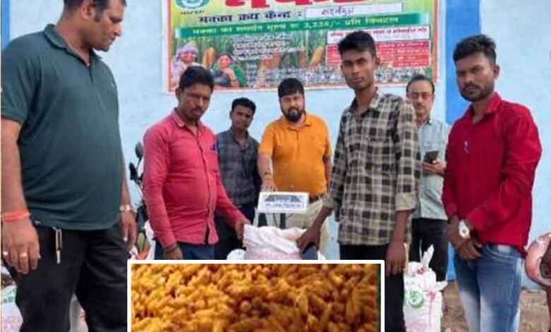 छत्तीसगढ़ में मक्का खरीदी में किसानों को नेफेड-कारोबारी दे रहे एमएसपी से ज्यादा कीमत 1 KSHITITECH Chhattisgarh 11 2 11 KSHITITECH
