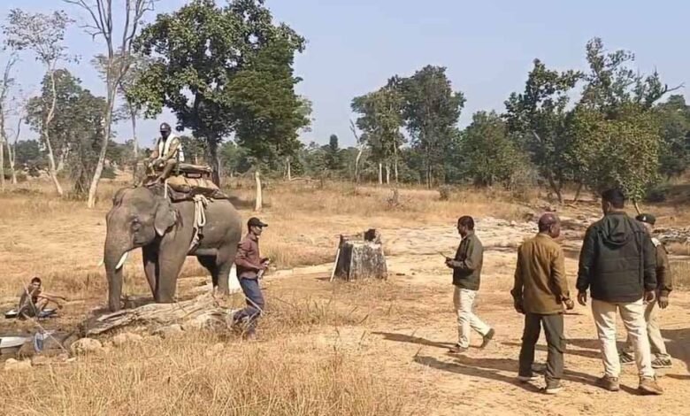 बाघ के रेस्क्यू में जुटी टाइगर रिजर्व की टीम, 4 हाथी दल और 3 परिक्षेत्र की टीम निगरानी में जुटी 1 KSHITITECH bagh 2 KSHITITECH