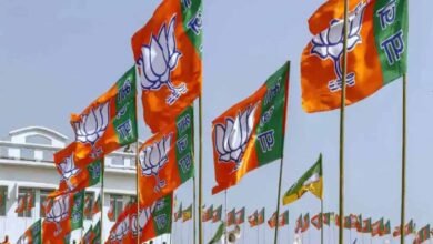 bjp flag1 Console Corptech Pradakshina Consulting Pvt Ltd