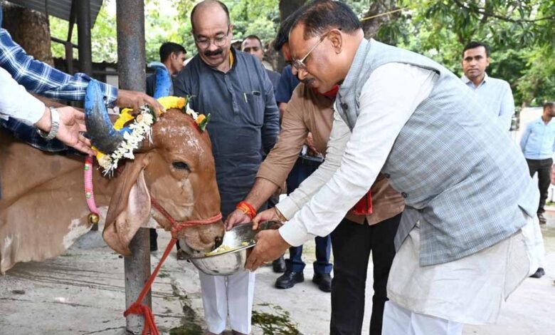 मुख्यमंत्री विष्णु देव साय ने गोवर्धन पूजा के अवसर पर की गौ वंश की पूजा-अर्चना 1 KSHITITECH cm vishnudev KSHITITECH