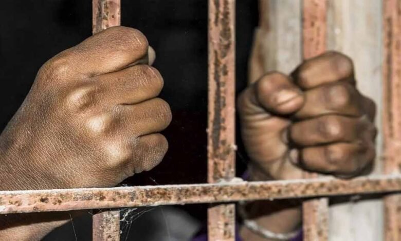 मध्य प्रदेश की जेलों में बंदियों को अब दूध, दही, छाछ और सलाद भी मिल सकेगा 1 KSHITITECH kedi KSHITITECH