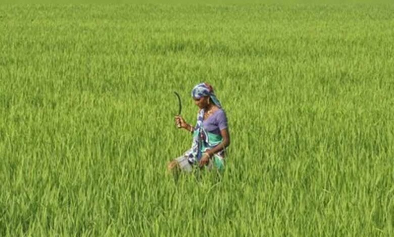 मध्यप्रदेश को प्राकृतिक खेती में अग्रणी बनाने उत्पादों की करें ब्रांडिंग 1 KSHITITECH kisan 5 KSHITITECH