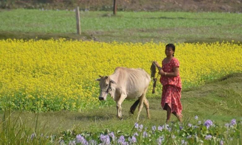 कैबिनेट: किसान कल्याण मंत्रालय के तहत एक महत्वपूर्ण योजना को मंजूरी दी गई जिसका नाम राष्ट्रीय प्राकृतिक खेती मिशन है 1 KSHITITECH kisan1 4 KSHITITECH