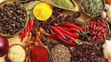 masala Console Corptech Pradakshina Consulting Pvt Ltd