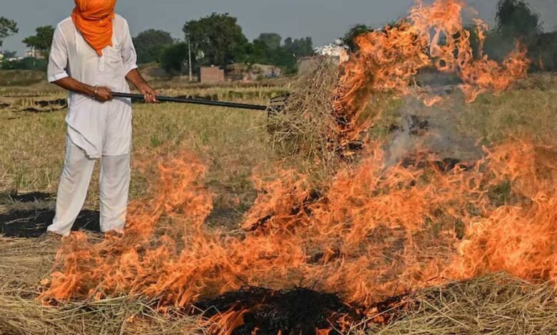 मध्य प्रदेश के वकील पराली जलाने वालों के केस नहीं लड़ेंगे, बार काउंसिल की बैठक में बड़ा फैसला 1 KSHITITECH praali fire77 2 2 KSHITITECH