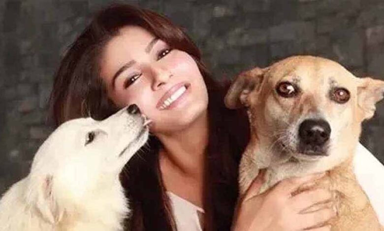 बेजुबानों को रवीना टंडन ने लिया गोद, लोगों से की साथ ना छोड़ने की अपील 1 KSHITITECH raveena KSHITITECH