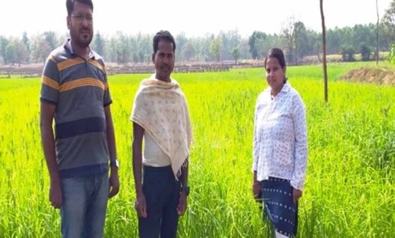 आत्मा योजना : उन्नत कृषि तकनीक को अपनाकर चैतू नेताम बना सफल कृषक 1 KSHITITECH 1 379 KSHITITECH