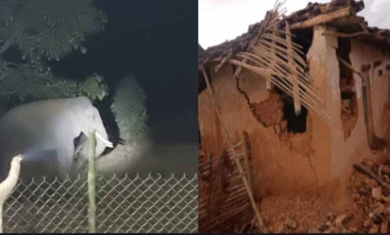 रायगढ़ में गजराज का आतंक, घरों में की तोड़फोड़, ग्रामीणों ने डर में गुजारी रात 1 KSHITITECH 1 998 KSHITITECH