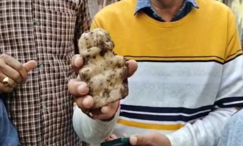 संभल में 48 साल बाद खुले हिंदू मंदिर में पहले महादेव की प्रतिमा मिली 1 KSHITITECH 16A 28 1 KSHITITECH