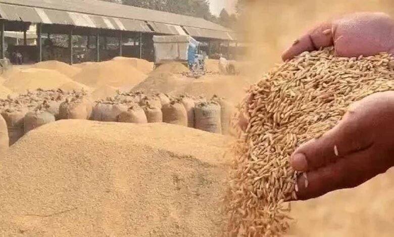 अब तक खरीदी गई 21 लाख मीट्रिक टन से अधिक धान, समर्थन मूल्य पर धान की खरीदी 20 जनवरी तक 1 KSHITITECH dhan KSHITITECH