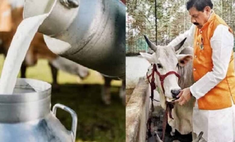 प्रदेश में गौ-संरक्षण और संवर्धन के नाम रहा वर्ष 2024, दुग्ध और दुग्ध उत्पादों से किसानों को मिल रहा है अच्छा मुनाफा 1 KSHITITECH dugdh KSHITITECH