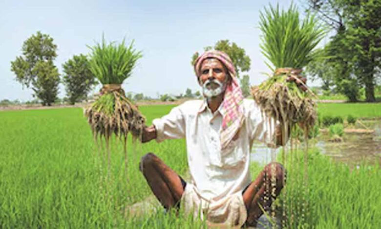 किसानों ने कहा - फसलें लहलहाएंगी, पलायन रुकेगा 1 KSHITITECH kisan 7 KSHITITECH
