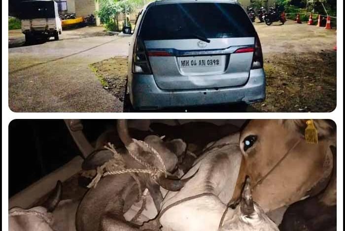 कार से हो रही थी गौमांस की तस्करी, बजरंग दल और विश्व हिंदू परिषद के कार्यकर्ताओं ने पकड़ा, एक गिरफ्तार 1 KSHITITECH taskari1 KSHITITECH