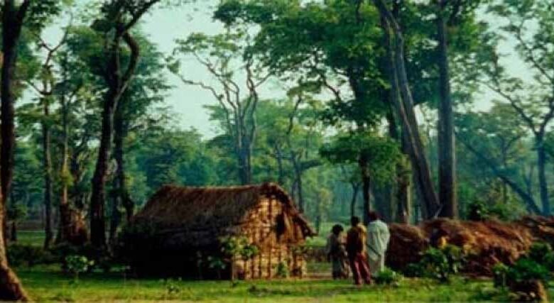 मध्यप्रदेश को प्रकृति से मिला है सभी राज्यों से अधिक वन सम्पदा का वरदान 1 KSHITITECH van01 KSHITITECH