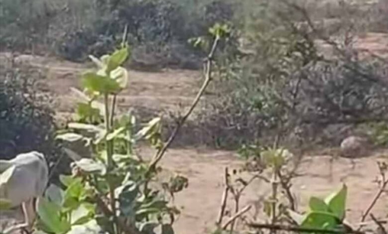 बैढ़न कोतवाली थाना क्षेत्र के अंतर्गत हिर्वाह गनियारी रेलवे क्रॉसिंग के बगल में नदी में अवैध खनन का कारोबार जोरों पर 1 KSHITITECH 1 119 KSHITITECH