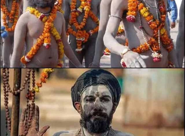अघोरी और नागा साधु कैसे जीते है अपना जीवन 1 KSHITITECH 1 399 KSHITITECH
