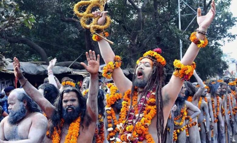 नागा साधु शाही स्नान के लिए 17 तरह की चीजों से सजते हैं 1 KSHITITECH 1 493 KSHITITECH