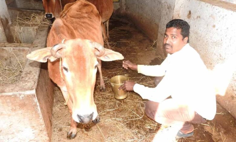 मनरेगा से बना पशु शेड देवीराम के जीवन में आई खुशहाली 1 KSHITITECH 1 76 KSHITITECH