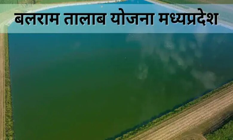 राज्य योजना बलराम तालाब योजना के तहत खेत में तालाब बनाने पर एक लाख रूपये तक मिलती है अनुदान राशि 1 KSHITITECH 23A 105 KSHITITECH