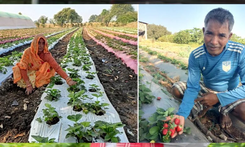 किसान कल्याण तथा कृषि विकास विभाग द्वारा किसानों को समृद्ध बनाने के लिये कृषि उत्पादकता को बढ़ावा दिया जा रहा 1 KSHITITECH 29A 105 KSHITITECH