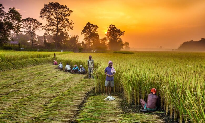 सरकार किसानों को सशक्त और समृद्ध बनाने के लिए कृषि को लाभ का धंधा बनाने के लिए निरंतर प्रयास कर रही 1 KSHITITECH 30A 100 KSHITITECH