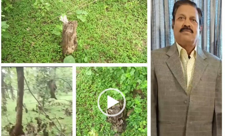 वनों की कटाई कराने वाले डिप्टी रेंजर के ऑडियो वायरल, हुए निलंबित 1 KSHITITECH 4A 22 1 KSHITITECH