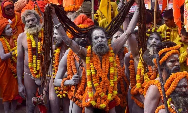चार प्रकार के होते हैं नागा साधु, क्या आप जानते हैं ? 1 KSHITITECH 5 7 KSHITITECH