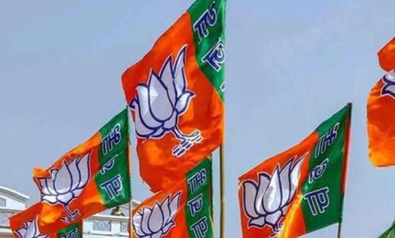 छत्तीसगढ़-भाजपा प्रदेश अध्यक्ष का आज शाम तक नामांकन और ऐलान कल 1 KSHITITECH Cg 06 3 13 KSHITITECH