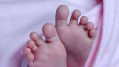 baby2 Console Corptech Pradakshina Consulting Pvt Ltd