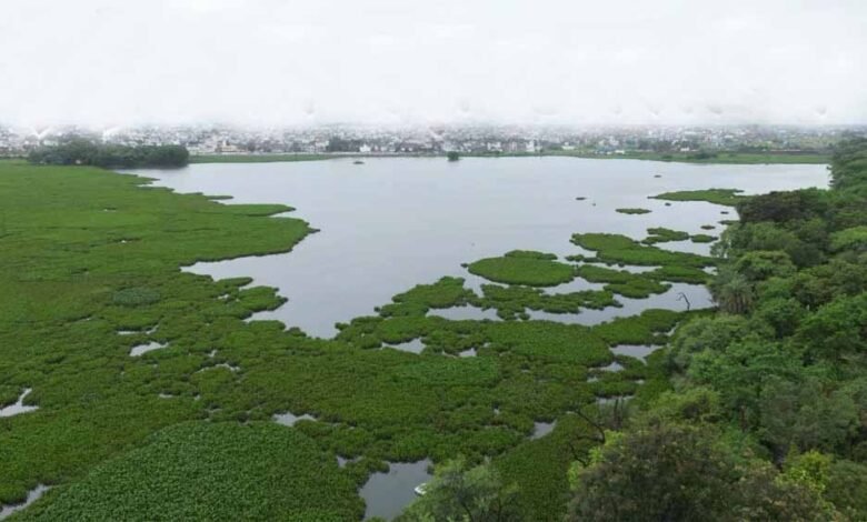 स्वच्छता में नंबर 1 रहने वाले इंदौर ने एक और बड़ी उपलब्धि हासिल की, विश्व के 31 वेटलैंड मान्यता प्राप्त शहरों की सूची में शामिल 1 KSHITITECH ind 5 KSHITITECH