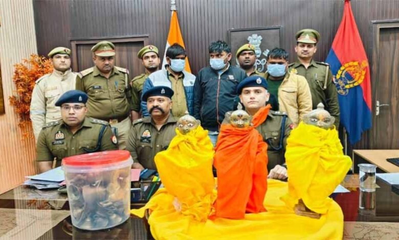 हरदोई में ठेकेदार ने अपने सहयोगियों के साथ मिलकर चोरी की घटना को दिया अंजाम, मंदिर की चुराई मूर्तियां 1 KSHITITECH 1 499 KSHITITECH