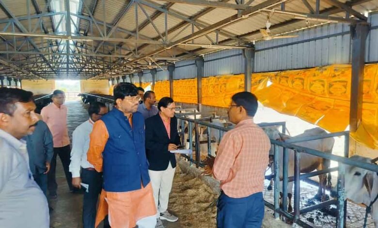 राज्यमंत्री पटेल ने सागर में पशु प्रजनन प्रक्षेत्र, रतोना का निरीक्षण किया 1 KSHITITECH 1 540 KSHITITECH