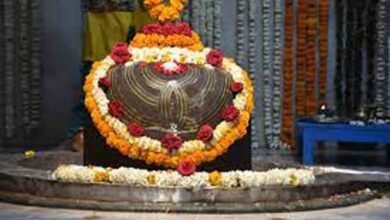 badankpur1 Console Corptech Pradakshina Consulting Pvt Ltd