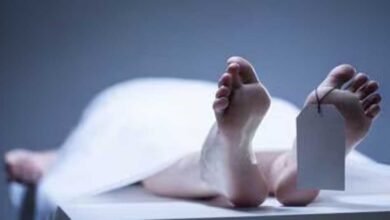 dead 2 1 Console Corptech Pradakshina Consulting Pvt Ltd