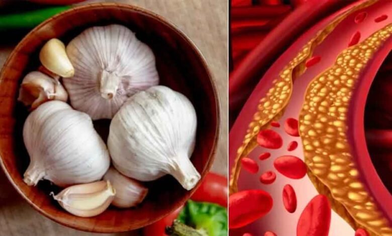 कोलेस्ट्रॉल समेत कई समस्याओं का रामबाण इलाज, सुबह-सुबह खाली पेट कच्चा लहसुन खाएं, मिलेंगे जबरदस्त फायदे 1 KSHITITECH garlic KSHITITECH