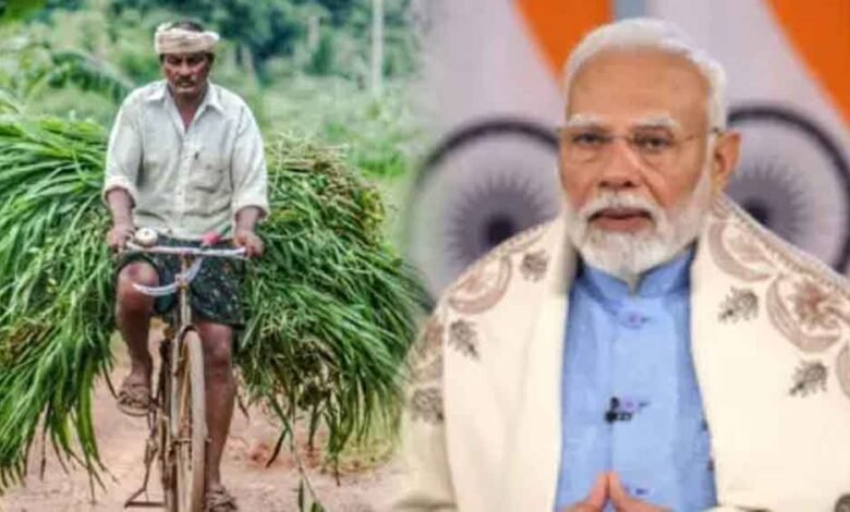 19वीं किस्त 24 फरवरी 2025 को जारी की जाएगी, जिसका लाभ करोड़ों किसानों को मिलेगा: केंद्रीय कृषि मंत्री 1 KSHITITECH pm1 7 KSHITITECH